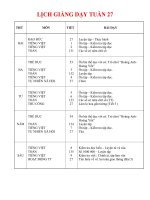 GiáoÁn Lớp 3- Tuần 27-28