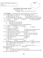 đề thi học kì II