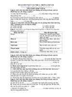 Bài tập Ôn tập Ngữ Văn 6 (Làm Văn)