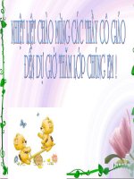 bai 35:benzen va cac dong dang