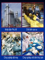 Bài 26 Địa lý 12 - II