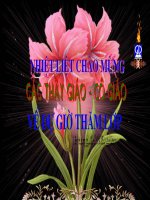 Tiết 101: Hoán dụ