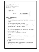 Bài 50 : Hệ sinnh thái