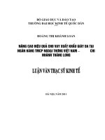 Nâng cao hiệu quả cho vay xuất khẩu giày da tại Ngân hàng TMCP Ngoại thương Việt Nam – Chi nhánh Thăng Long