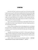 Tình hình đầu tư phát triển của công ty chế biến ván nhân tạo – LICOLA