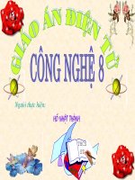 tiet 46 bài  50 mới