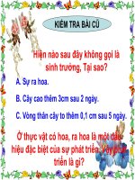 Bài 36. Phát triển ở thực vật có hoa (CB)