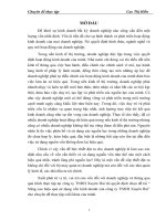 Giải pháp nâng cao hiệu quả sử dụng vốn tại công ty TNHH Xuyên Hải.