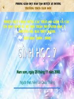 Tiết24.Thuc hanh Tom