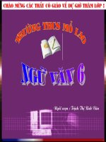 Thạch Sanh cực hấp dẫn