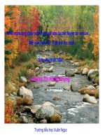 Mở rộng vốn từ: Trật tự-An ninh