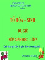 phương pháp nghiên cứu di truyền người