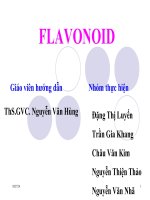 flavonoid