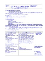 Tuần 20 đến 25 ( Soan 3 cột rất công phu)