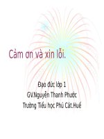 đao đức 1 Xin lỗi (ha)