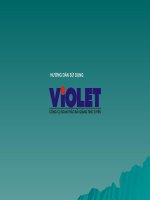 HƯỚNG DẪN SỬ DỤNG VIOLET BẰNG PP