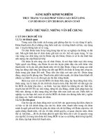SKKN nâng cao chất lượng cán bộ đoàn cấp cơ sở