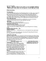 bai 23 phong trao tay son (hay).