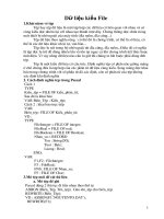 Pascal - Kiểu File