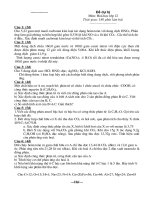 Đề thi HSG - dự bị