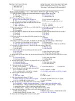 Đề KTHK II Sinh 10