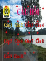 Thi an toan giao thong