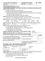 KT hoa 8 tiet 53 A-B