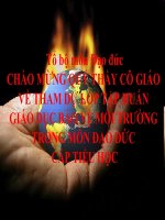 Báo cáo giáo  dục BVMT trong trường tiểu học