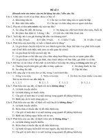 de thi lớp 5