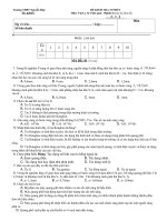 Đề KT 15-12 Cơ bản