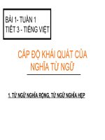 Cấp độ khái quát nghĩa của từ ngữ