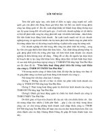 Tìm hiểu hoạt động phát triển thị trường xuất khẩu của công ty TNHH DVTMTH Tân Phú Hào