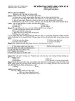 Đề kiểm tra khảo sát giữa kỳ 2 - Văn 7