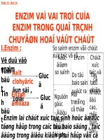Bài 15: Enzim và vai trò của enzim trong qua trình chuyển hóa vật chất