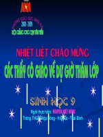Bai 13. Di truyền liên kết