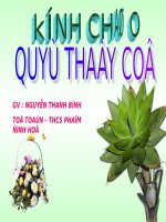 Tính chất cơ bản của phân số