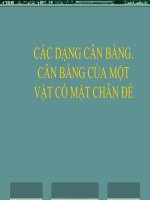 Bài 20 : Các dạng cân bằng