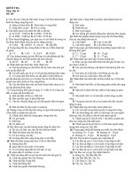 KIỂM TRA MỘT TIẾT( CHIP-WEB)