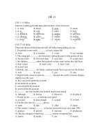 đề thi thử đại học môn anh văn - đề số 13