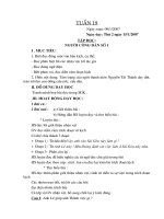 TUAN 19 - SOAN NGANG