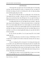 Một số giải pháp nhằm tăng cường hoạt động tiêu thụ sản phẩm tại Công ty Điện tử Công nghiệp Việt Nam