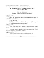 Đề kiểm tra học kỳ I môn Văn 6