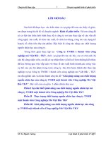 Giải pháp nâng cao chất lượng nguồn nhân lực của công ty TNHH một thành viên Công nghiệp Mỏ Việt Bắc TKV