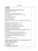 Thực trạng kinh tế thị trường nước ta và những giải pháp cụ thể để phát triển kinh tế thị trường