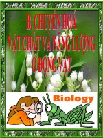 Tiêu Hóa ở động vật(rất hay)