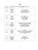 giao an lop 5 bo mau tuan 7