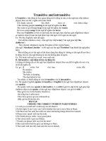 TRANSITIVE -INTRANSITIVE-BÀI TẬP- CÓ KEY