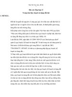 Báo cáo tổng hợp về Trung tâm Quy hoạch sử dụng đất đai