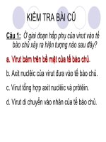 bài virus gây bệnh, ứng dụng virus trong thực tiễn