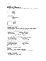 GRAMMAR EXERCISES.doc